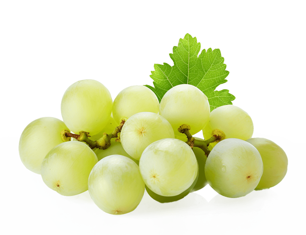 Muscat