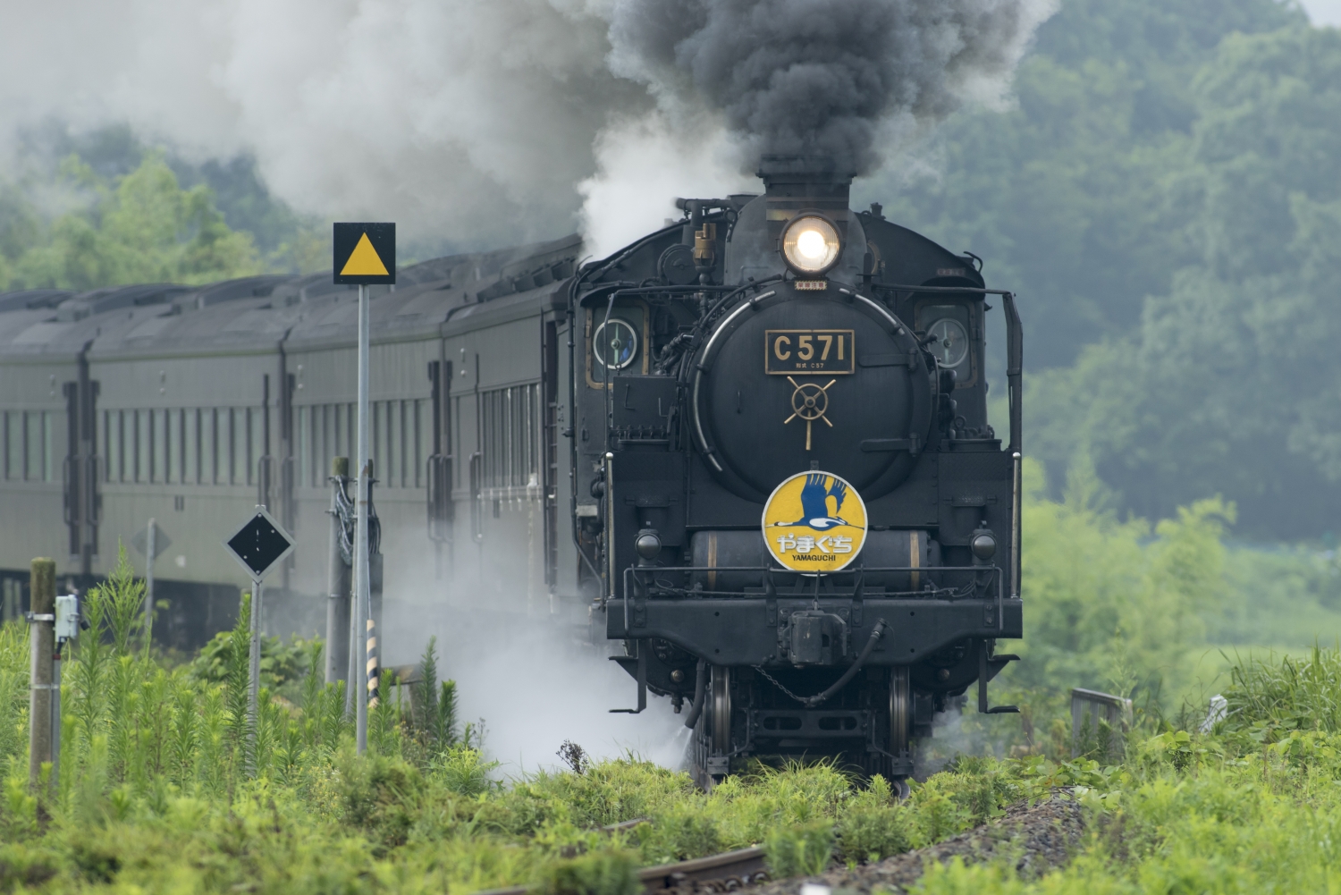 sl yamaguchi 1.jpg (790 KB)